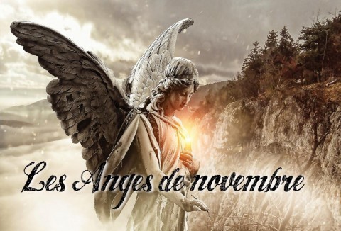 anges-de-novembre