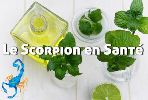 8-scorpion