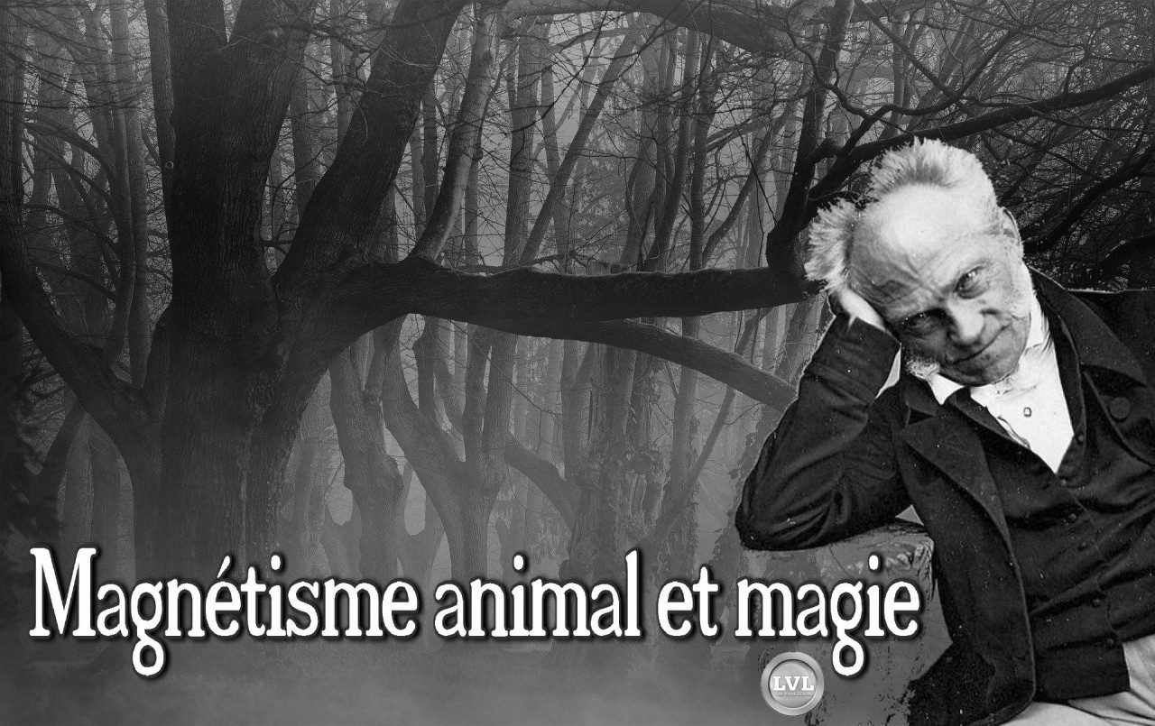 Magnétisme animal et magie