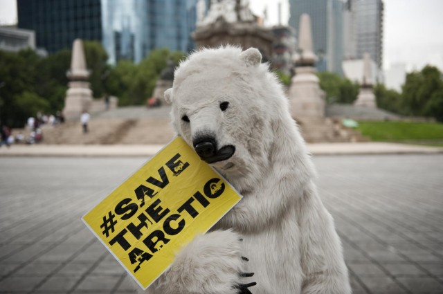 Deux militants de Greenpeace déguisés en ours polaires