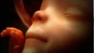 Vidéo montrant 9 mois de la vie dans l'utérus en quelques minutes, c'est à couper le souffle !